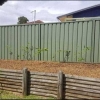 Slender Weaves from 200mm pots 1 sq