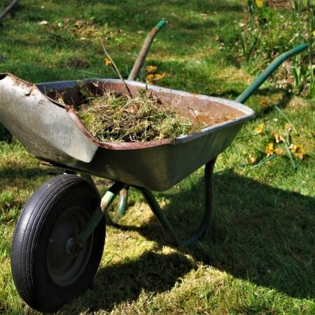 A Bamboo Screen In 9 Easy Steps. Wheelbarrow, Old, Garden-5180048.Jpg